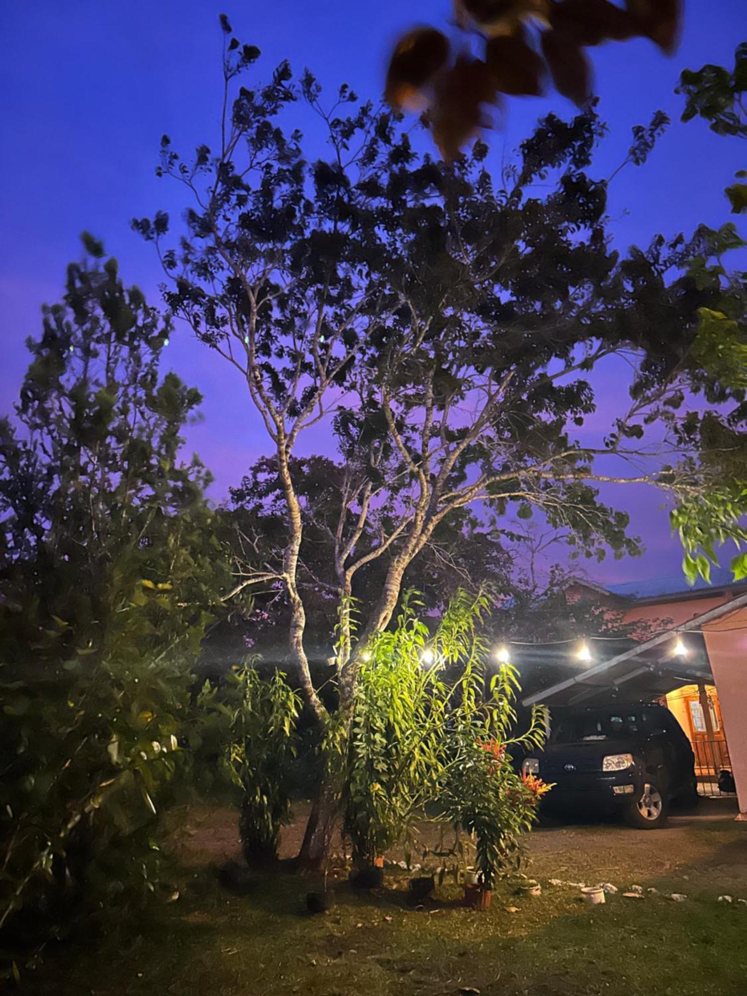 Linda Vista Cabins Boquete Dış mekan fotoğraf